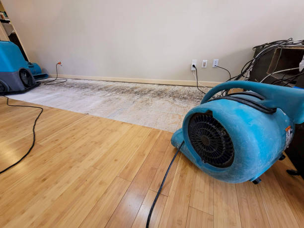 Professional Flood Damage Cleanup technician working in Wakefield, KS